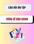 Câu hỏi ôn tập môn Thống kê Kinh doanh