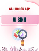Câu hỏi ôn tập Vi sinh
