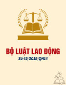 Luật số 45/2019/QH14
