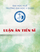 Luận án Tiến sĩ: Nghiên cứu giá trị thrombomodulin trong tiên lượng tổn thương thận cấp và tử vong ở bệnh nhân nhiễm khuẩn huyết