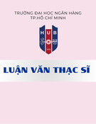 Luận văn thạc sĩ: Tác động của sự mất cân đối dòng tiền đến sự điều chỉnh cấu trúc vốn của các công ty ngành thương mại niêm yết tại Việt Nam