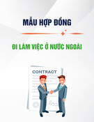 Mẫu Hợp đồng đi làm việc ở nước ngoài