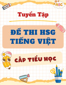 Tuyển tập đề thi HSG Tiếng Việt - Cấp tiểu học