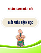 Ngân hàng câu hỏi Giải phẫu bệnh học