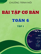 Bài tập cơ bản - Toán 6