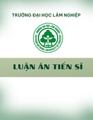 Luận án Tiến sĩ: Quản lý nguồn cung và hoạt động mua hàng của các doanh nghiệp chế biến cà phê tại Việt  Nam