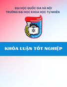 Khóa luận tốt nghiệp: Bài toán biên dirichlet cho phương trình elliptic cấp 2 dạng bảo toàn trong hình tròn đơn vị