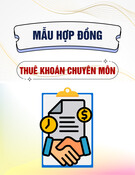 Mẫu Hợp đồng thuê khoán chuyên môn (với đơn vị thuê ngoài)
