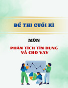 Đề thi cuối kì môn Phân tích tín dụng và cho vay (Đề số 1)