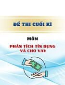 Đề thi cuối kì môn Phân tích tín dụng và cho vay (Đề số 2)