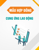Mẫu Hợp đồng cung ứng lao động hoặc tuyển lao động