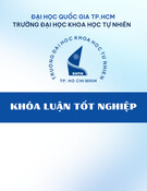 Khóa luận tốt nghiệp: Nghiên cứu sự vận chuyển phóng xạ từ đất lên thực vật