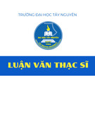 Luận văn Thạc sĩ: Xây dựng mức phát thải tham chiếu rừng khu vực huyện Bảo Lâm tỉnh Lâm Đồng