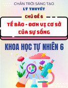 Chuyên đề lý thuyết KHTN 6 - Chủ đề 6: Tế bào - Đơn vị cơ sở của sự sống