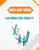 Mẫu Hợp đồng lao động của công ty