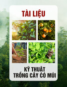 Tài liệu Kỹ thuật trồng cây có múi