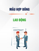 Mẫu Hợp đồng lao động chi tiết