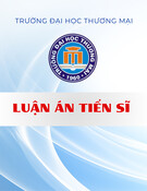 Luận án Tiến sĩ: Nghiên cứu năng lực nhà quản trị cấp trung của Tập đoàn xăng dầu Việt Nam