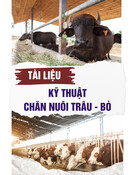 Tài liệu Kỹ thuật chăn nuôi trâu - bò