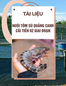 Tài liệu Quy trình nuôi tôm sú quảng canh cải tiến 2 giai đoạn
