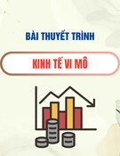 Bài thuyết trình Kinh tế vi mô