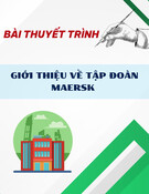 Bài thuyết trình: Giới thiệu về tập đoàn Maersk