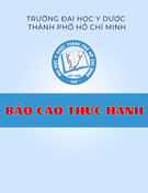 Báo cáo thực hành cộng đồng: Trung tâm Y tế huyện Long Điền, tỉnh Bà Rịa – Vũng Tàu