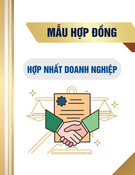 Mẫu Hợp đồng về việc hợp nhất doanh nghiệp