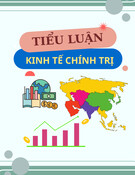 Niên luận Kinh tế chính trị: Mô hình kinh doanh ứng dụng dịch vụ công nghệ kết nối vận tải của Công ty Trách nhiệm hữu hạn GRAB
