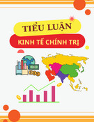 Tiểu luận Kinh tế chính trị Mác-Lênin: Bản chất và vai trò của các công ty xuyên quốc gia