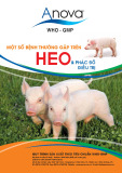 Tài liệu Một số bệnh thường gặp trên heo và phát đồ điều trị