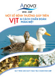Tài liệu Một số bệnh thường gặp trên vịt và cách chẩn đoán phân biệt