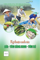 Tài liệu Kỹ thuật canh tác lúa - tôm càng xanh - tôm sú