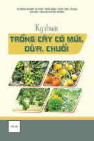 Tài liệu Kỹ thuật trồng cây có múi, dừa, chuối