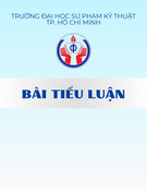Bài tiểu luận: Làm rõ bước đi, biện pháp xây dựng chủ nghĩa xã hội ở Việt Nam theo quan điểm Hồ Chí Minh, vận dụng vào công cuộc đổi mới kinh tế ở nước ta hiện nay