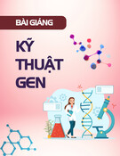 Bài giảng Kỹ thuật gen: Chương 5 - Biểu hiện gen