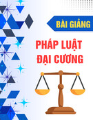Bài giảng Pháp luật đại cương: Chương VII - Trường ĐH Bách khoa TP.HCM